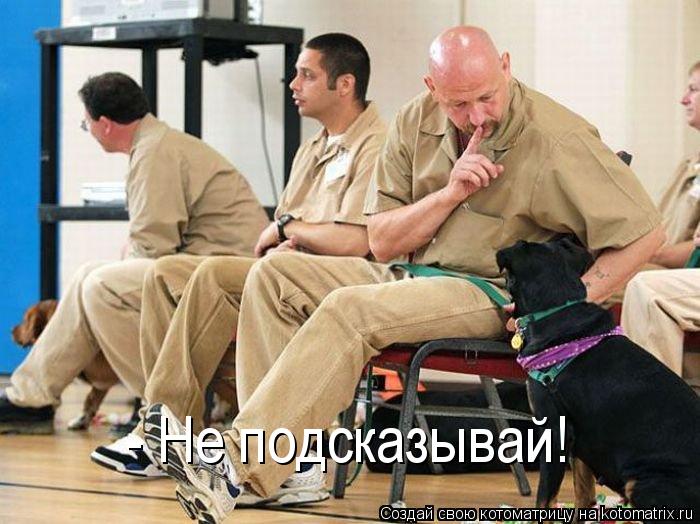 - Не подсказывай!... Котоматрица: - Не подсказывай!