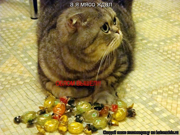 а я мясо ждал ОБЛОМ ВЫШЕЛ!!!... Котоматрица: а я мясо ждал ОБЛОМ ВЫШЕЛ!!!
