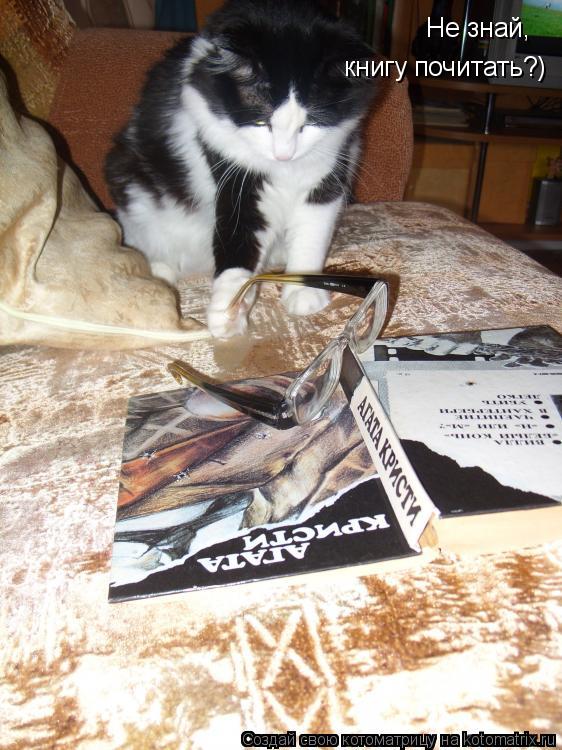 Не знай, книгу почитать?)... Котоматрица: Не знай, книгу почитать?)