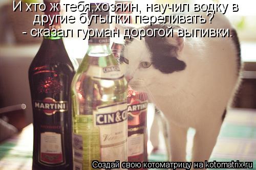 И хто ж тебя,хозяин, научил водку в другие бутылки переливать? - сказал гурман дорогой выпивки.... Котоматрица: И хто ж тебя,хозяин, научил водку в другие бутылки переливать? - сказал гурман дорогой выпивки.