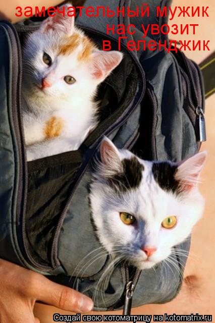 замечательный мужик нас увозит в Геленджик... Котоматрица: замечательный мужик нас увозит в Геленджик