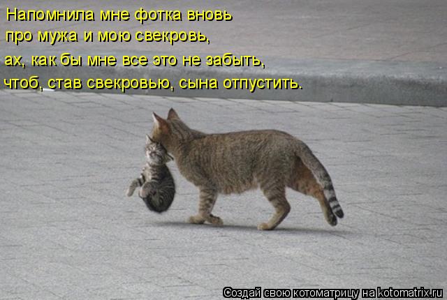 Напомнила мне фотка вновь про мужа и мою свекровь, ах, как бы мне все это не забыть, чтоб, став свекр... Котоматрица: Напомнила мне фотка вновь про мужа и мою свекровь, ах, как бы мне все это не забыть, чтоб, став свекровью, сына отпустить.