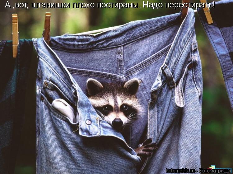 А ,вот, штанишки плохо постираны. Надо перестирать!... Котоматрица: А ,вот, штанишки плохо постираны. Надо перестирать!