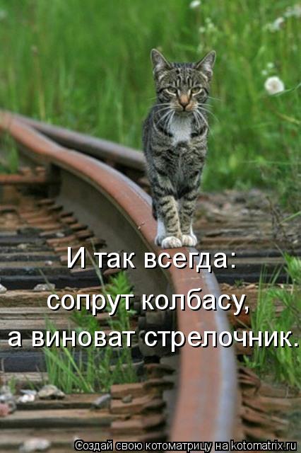 И так всегда: сопрут колбасу, а виноват стрелочник.... Котоматрица: И так всегда: сопрут колбасу, а виноват стрелочник.