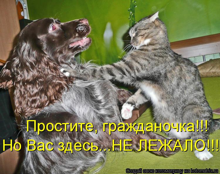 Простите, гражданочка!!! Но Вас здесь...НЕ ЛЕЖАЛО!!!... Котоматрица: Простите, гражданочка!!! Но Вас здесь...НЕ ЛЕЖАЛО!!!
