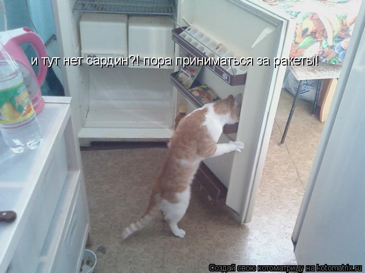 и тут нет сардин?! пора приниматься за ракеты!... Котоматрица: и тут нет сардин?! пора приниматься за ракеты!