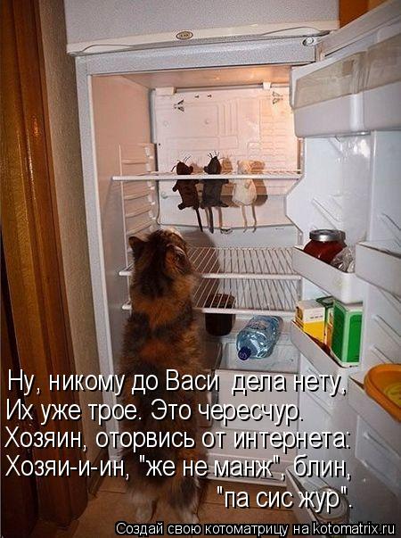 Ну, никому до Васи дела нету, Хозяин, оторвись от интернета: Хозяи-и-ин, "же не манж", блин, "па си... Котоматрица: Ну, никому до Васи дела нету, Хозяин, оторвись от интернета: Хозяи-и-ин, "же не манж", блин, "па сис жур". Их уже трое. Это чересчур.