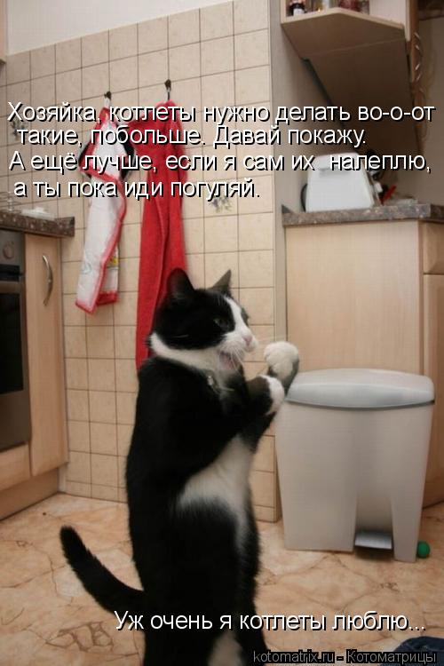 Хозяйка, котлеты нужно делать во-о-от такие, побольше. Давай покажу. А ещё лучше, если я сам их на... Котоматрица: Хозяйка, котлеты нужно делать во-о-от такие, побольше. Давай покажу. А ещё лучше, если я сам их налеплю, а ты пока иди погуляй. Уж очень я котл