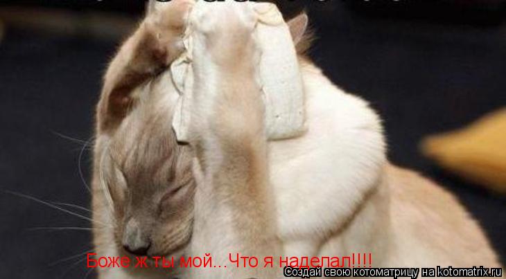 Боже ж ты мой...Что я наделал!!!!... Котоматрица: Боже ж ты мой...Что я наделал!!!!