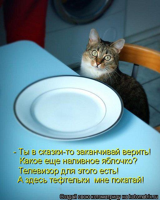- Ты в сказки-то заканчивай верить! Телевизор для этого есть! Какое еще наливное яблочко? А здес... Котоматрица: - Ты в сказки-то заканчивай верить! Телевизор для этого есть! Какое еще наливное яблочко? А здесь тефтельки мне покатай!