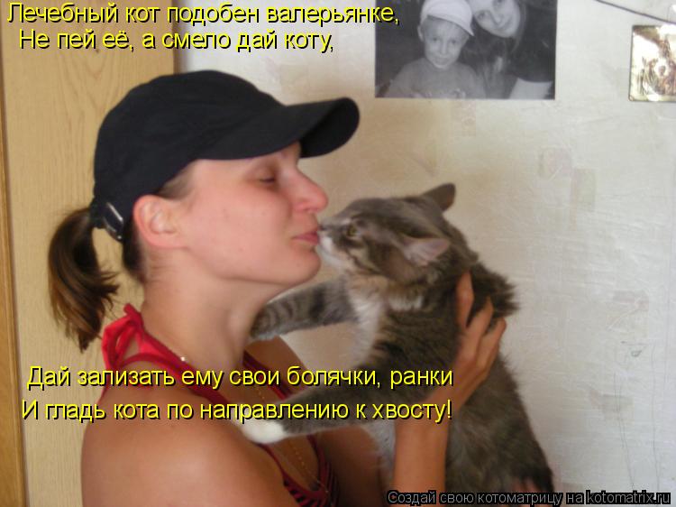 Лечебный кот подобен валерьянке, Не пей её, а смело дай коту, Дай зализать ему свои болячки, р... Котоматрица: Лечебный кот подобен валерьянке, Не пей её, а смело дай коту, Дай зализать ему свои болячки, ранки И гладь кота по направлению к хвосту!