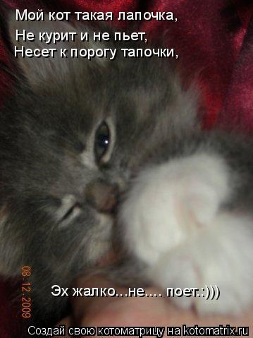 Мой кот такая лапочка, Не курит и не пьет, Несет к порогу тапочки, Эх жалко...не.... поет.:)))... Котоматрица: Мой кот такая лапочка, Не курит и не пьет, Несет к порогу тапочки, Эх жалко...не.... поет.:)))