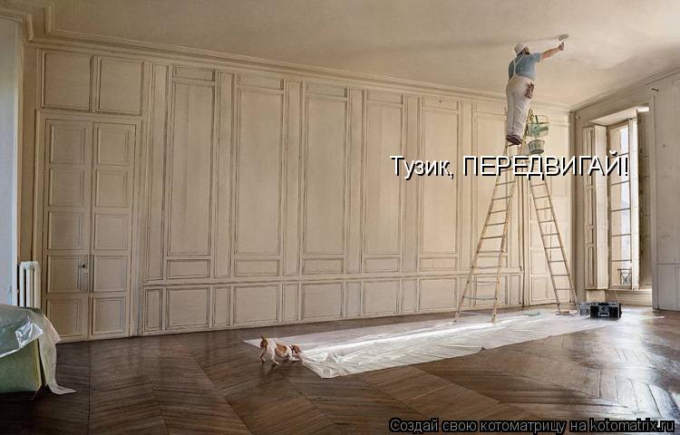 Тузик, ПЕРЕДВИГАЙ!... Котоматрица: Тузик, ПЕРЕДВИГАЙ!
