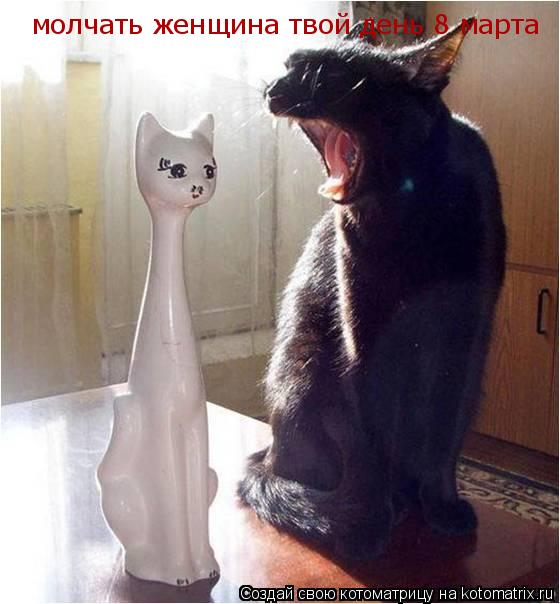 молчать женщина твой день 8 марта... Котоматрица: молчать женщина твой день 8 марта