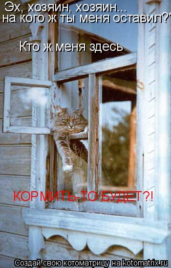 Эх, хозяин, хозяин... на кого ж ты меня оставил??? Кто ж меня здесь КОРМИТЬ-ТО БУДЕТ?!... Котоматрица: Эх, хозяин, хозяин... на кого ж ты меня оставил??? Кто ж меня здесь КОРМИТЬ-ТО БУДЕТ?!