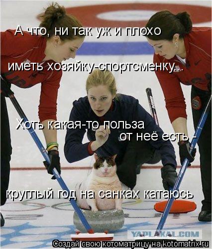 А что, ни так уж и плохо иметь хозяйку-спортсменку... Хоть какая-то польза от неё есть - круглый го... Котоматрица: А что, ни так уж и плохо иметь хозяйку-спортсменку... Хоть какая-то польза от неё есть - круглый год на санках катаюсь