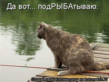 Котоматрица: Да вот... подРЫБАтываю.