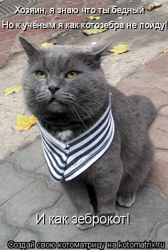 Хозяин, я знаю что ты бедный Но к учёным я как котозебра не пойду! И как зеброкот!... Котоматрица: Хозяин, я знаю что ты бедный Но к учёным я как котозебра не пойду! И как зеброкот!