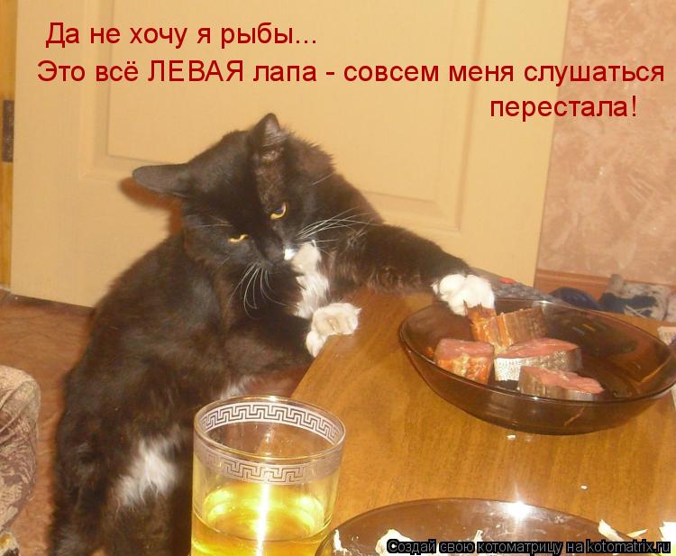 Да не хочу я рыбы... перестала! Это всё ЛЕВАЯ лапа - совсем меня слушаться... Котоматрица: Да не хочу я рыбы... перестала! Это всё ЛЕВАЯ лапа - совсем меня слушаться