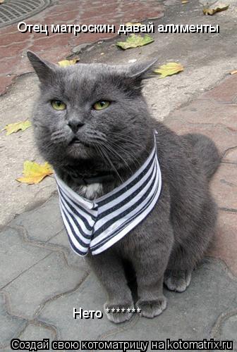 Отец матроскин давай алименты Нето *******... Котоматрица: Отец матроскин давай алименты Нето *******