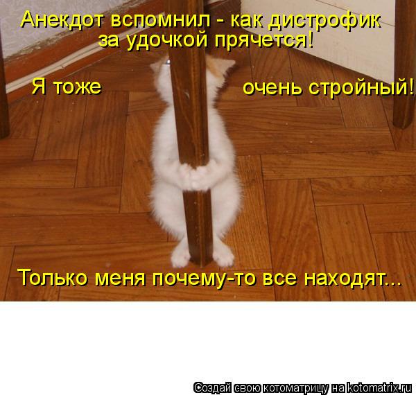 Анекдот вспомнил - как дистрофик за удочкой прячется! Только меня почему-то все находят... Я тоже оче... Котоматрица: Анекдот вспомнил - как дистрофик за удочкой прячется! Только меня почему-то все находят... Я тоже очень стройный!