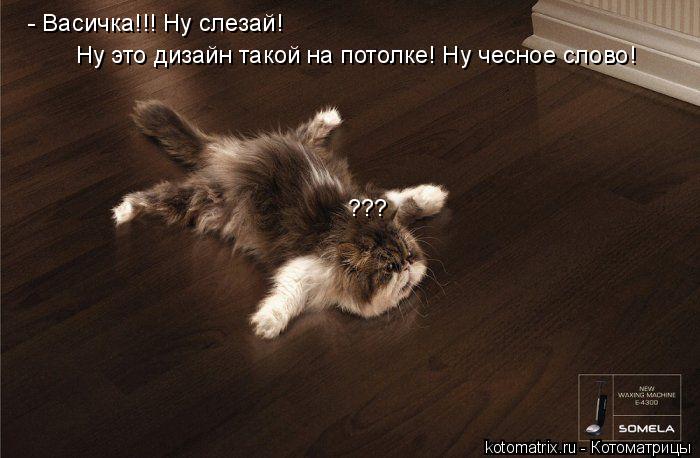- Васичка!!! Ну слезай! Ну это дизайн такой на потолке! Ну чесное слово! ???... Котоматрица: - Васичка!!! Ну слезай! Ну это дизайн такой на потолке! Ну чесное слово! ???