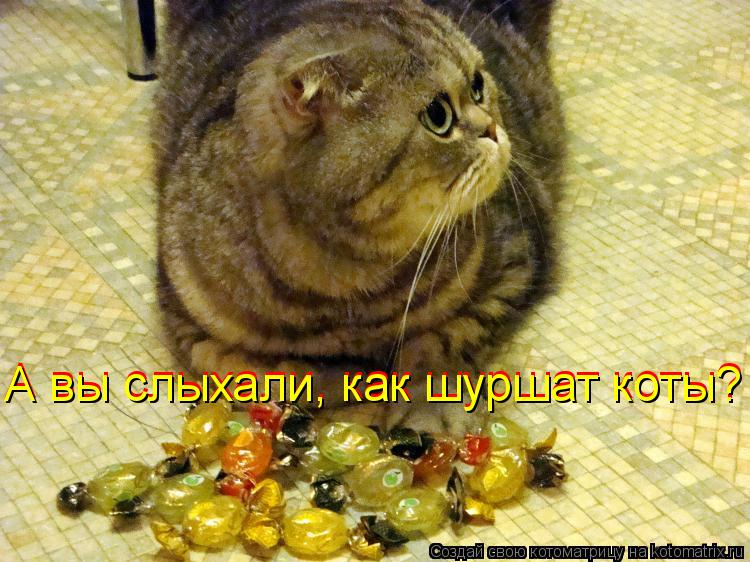 А вы слыхали, как шуршат коты? А вы слыхали, как шуршат коты?... Котоматрица: А вы слыхали, как шуршат коты? А вы слыхали, как шуршат коты?