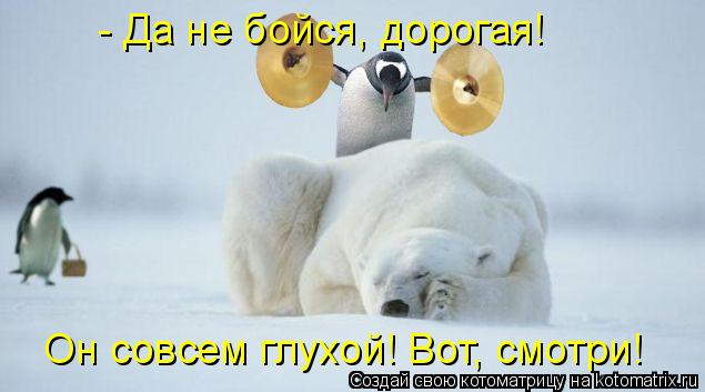 - Да не бойся, дорогая! Он совсем глухой! Вот, смотри!... Котоматрица: - Да не бойся, дорогая! Он совсем глухой! Вот, смотри!