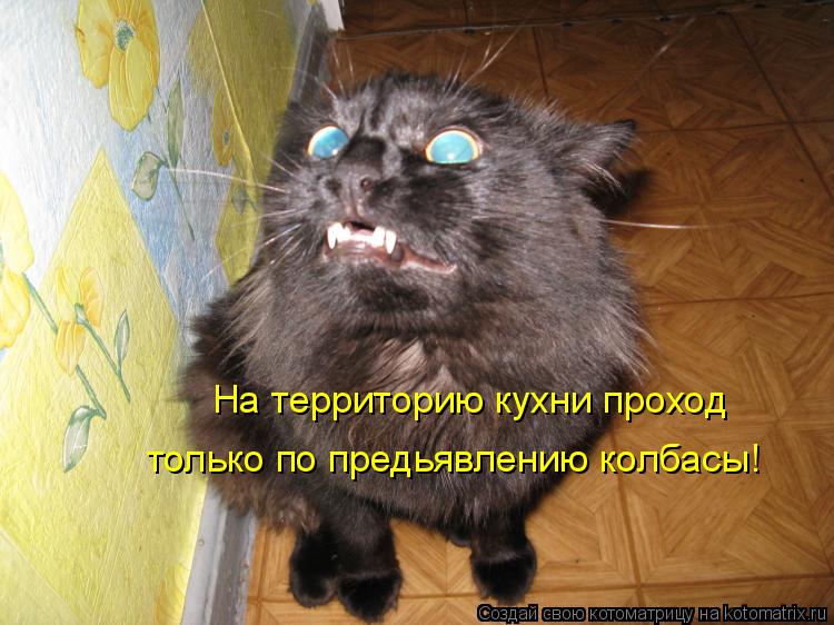 На территорию кухни проход только по предьявлению колбасы!... Котоматрица: На территорию кухни проход только по предьявлению колбасы!