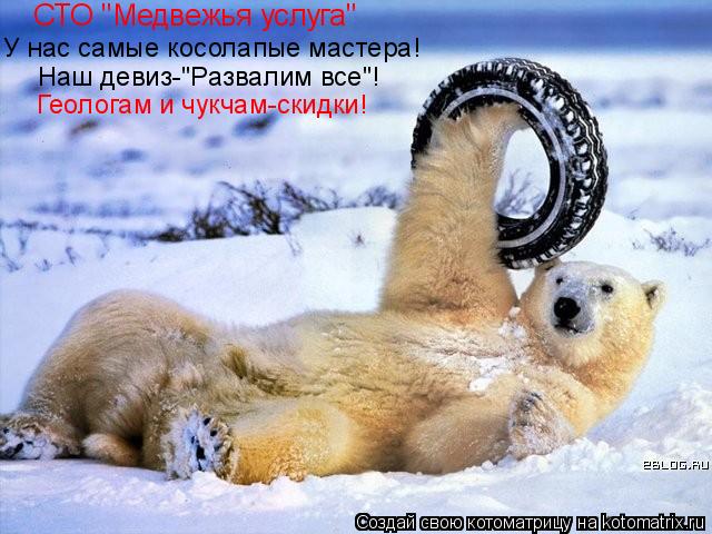 У нас самые косолапые мастера! Наш девиз-"Развалим все"! Геологам и чукчам-скидки! СТО "Медвежья усл... Котоматрица: У нас самые косолапые мастера! Наш девиз-"Развалим все"! Геологам и чукчам-скидки! СТО "Медвежья услуга"