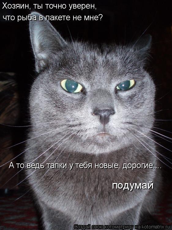 Хозяин, ты точно уверен, что рыба в пакете не мне? А то ведь тапки у тебя новые, дорогие.... подума... Котоматрица: Хозяин, ты точно уверен, что рыба в пакете не мне? А то ведь тапки у тебя новые, дорогие.... подумай