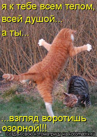 я к тебе всем телом, всей душой... а ты... ...взгляд воротишь озорной!!!... Котоматрица: я к тебе всем телом, всей душой... а ты... ...взгляд воротишь озорной!!!