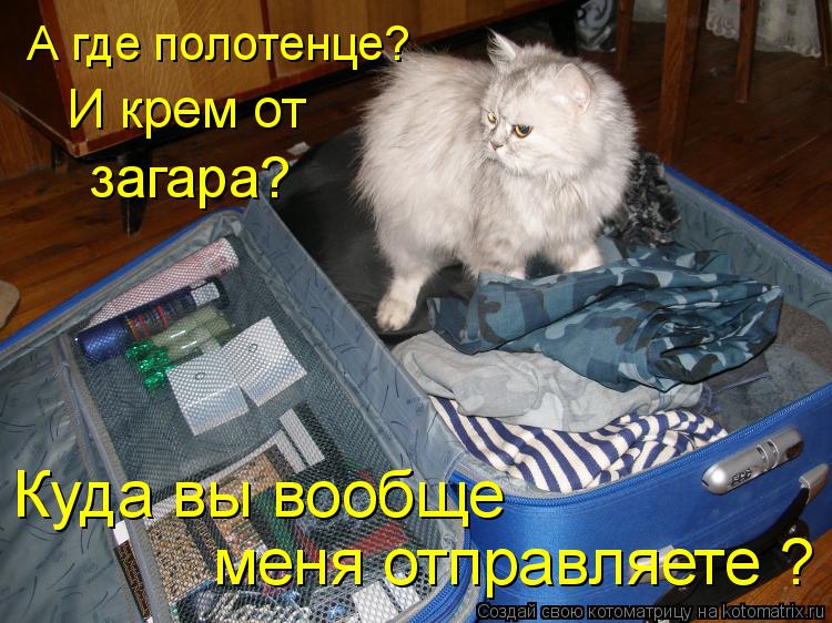 А где полотенце? И крем от загара? Куда вы вообще меня отправляете ?... Котоматрица: А где полотенце? И крем от загара? Куда вы вообще меня отправляете ?