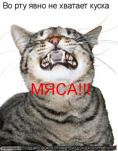 Во рту явно не хватает куска МЯСА!!!... Котоматрица: Во рту явно не хватает куска МЯСА!!!