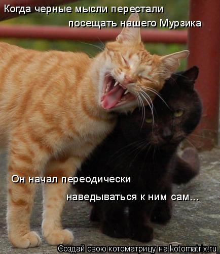Когда черные мысли перестали посещать нашего Мурзика Он начал переодически наведываться к ним сам...... Котоматрица: Когда черные мысли перестали посещать нашего Мурзика Он начал переодически наведываться к ним сам...