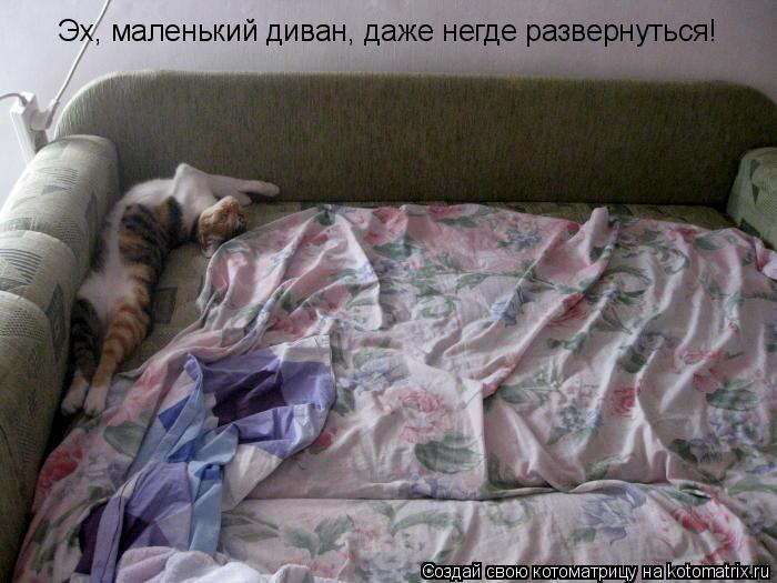 Эх, маленький диван, даже негде развернуться!... Котоматрица: Эх, маленький диван, даже негде развернуться!