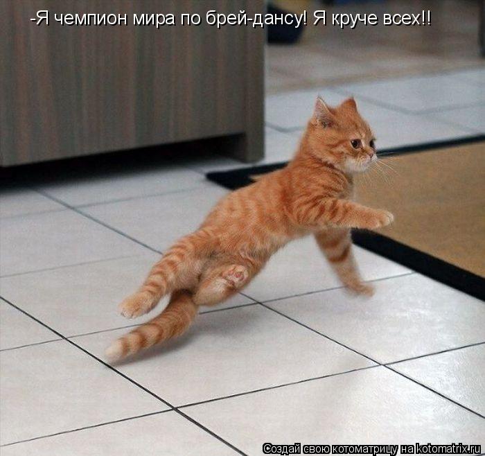 -Я чемпион мира по брей-дансу! Я круче всех!!... Котоматрица: -Я чемпион мира по брей-дансу! Я круче всех!!