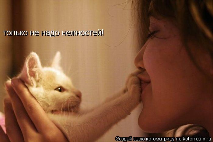 только не надо нежностей!... Котоматрица: только не надо нежностей!
