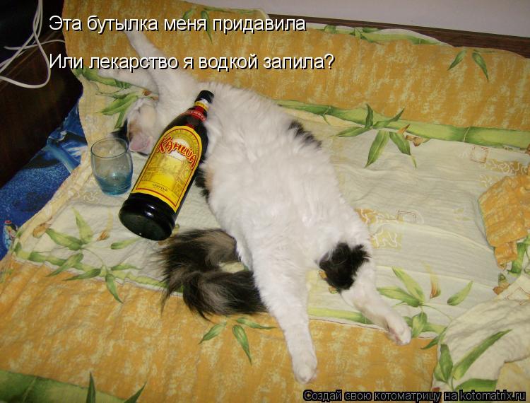 Эта бутылка меня придавила Или лекарство я водкой запила?... Котоматрица: Эта бутылка меня придавила Или лекарство я водкой запила?