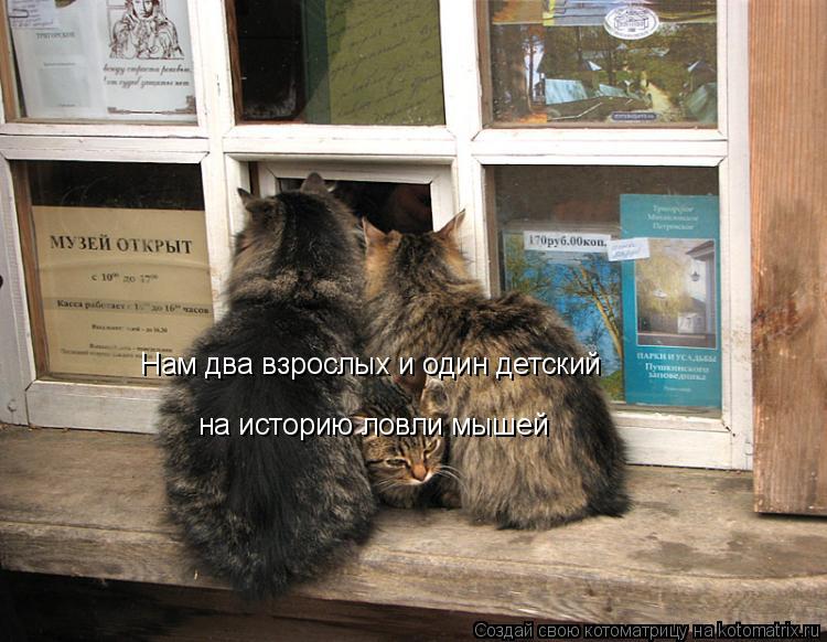 Нам два взрослых и один детский на историю ловли мышей... Котоматрица: Нам два взрослых и один детский на историю ловли мышей