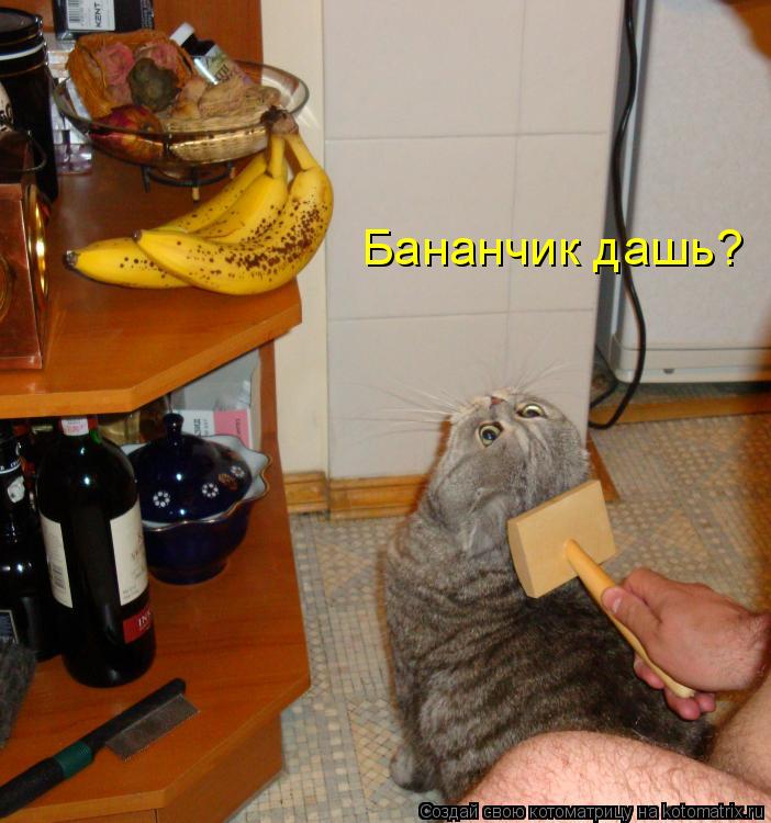 Бананчик дашь?... Котоматрица: Бананчик дашь?
