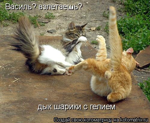 Василь? взлетаешь? дык шарики с гелием... Котоматрица: Василь? взлетаешь? дык шарики с гелием