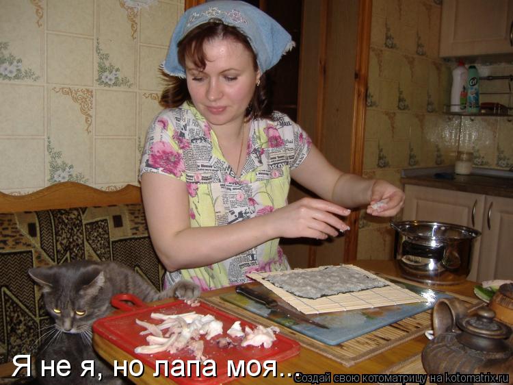 Я не я, но лапа моя...... Котоматрица: Я не я, но лапа моя...