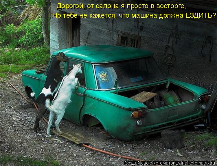 Дорогой, от салона я просто в восторге, Но тебе не кажется, что машина должна ЕЗДИТЬ?... Котоматрица: Дорогой, от салона я просто в восторге, Но тебе не кажется, что машина должна ЕЗДИТЬ?
