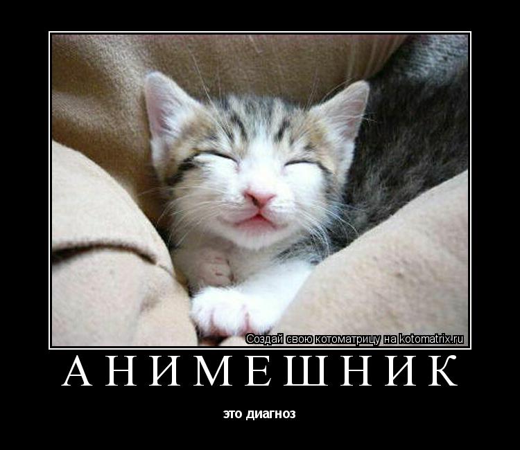 Анимешник это диагноз... Котоматрица: Анимешник это диагноз