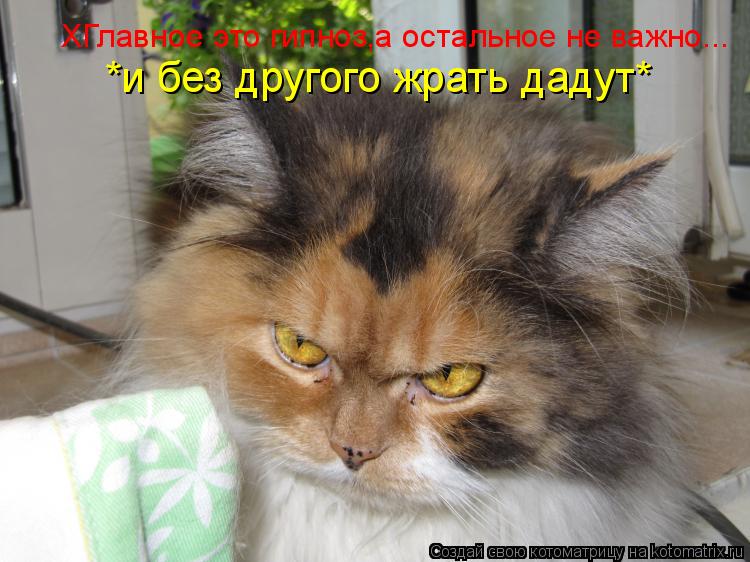 ХГлавное это гипноз,а остальное не важно... *и без другого жрать дадут*... Котоматрица: ХГлавное это гипноз,а остальное не важно... *и без другого жрать дадут*
