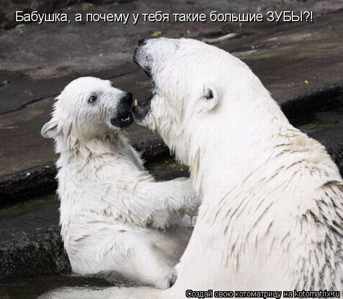 Бабушка, а почему у тебя такие большие ЗУБЫ?!... Котоматрица: Бабушка, а почему у тебя такие большие ЗУБЫ?!
