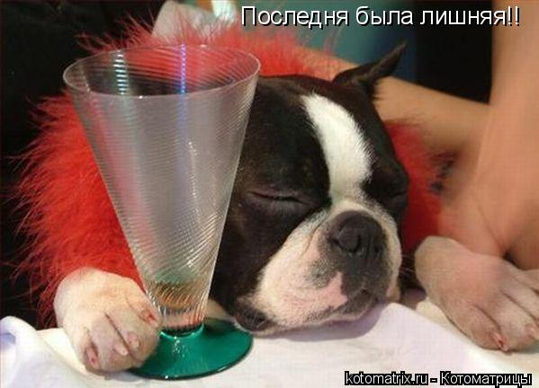 Последня была лишняя!!... Котоматрица: Последня была лишняя!!