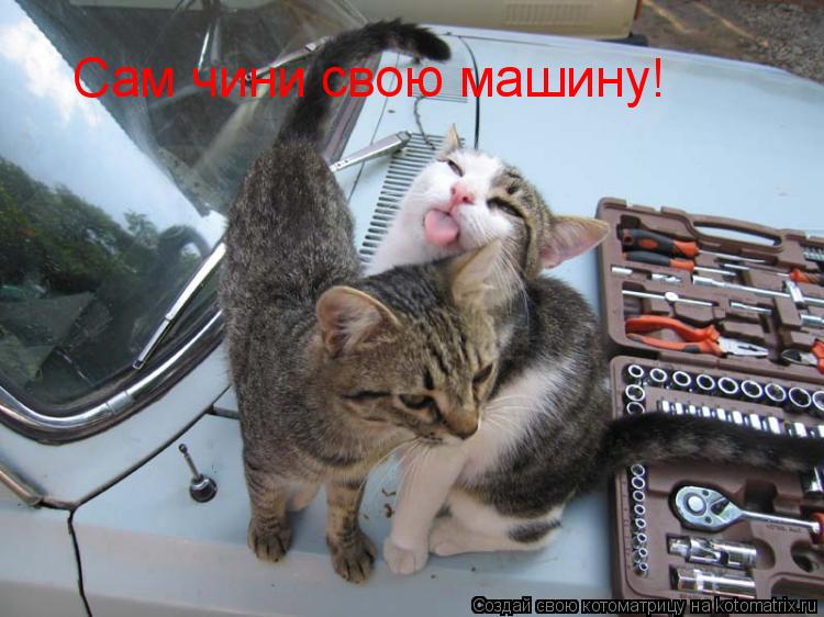 Сам чини свою машину!... Котоматрица: Сам чини свою машину!