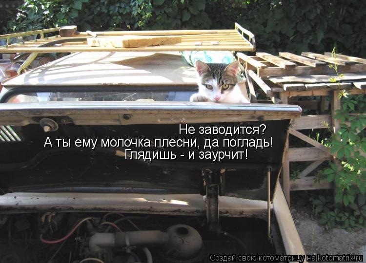 А ты ему молочка плесни, да погладь! Глядишь - и заурчит! Не заводится?... Котоматрица: А ты ему молочка плесни, да погладь! Глядишь - и заурчит! Не заводится?
